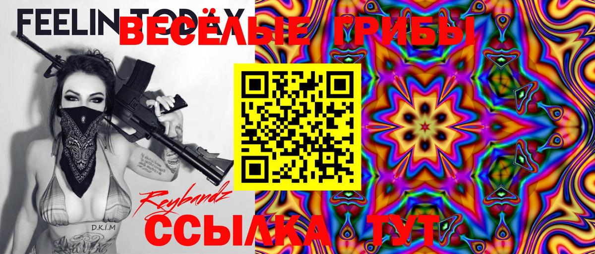 Псилоцибиновые грибы Psilocybe  Вход с VPN  Алейск  Галлюциногенные грибы Cubensis 